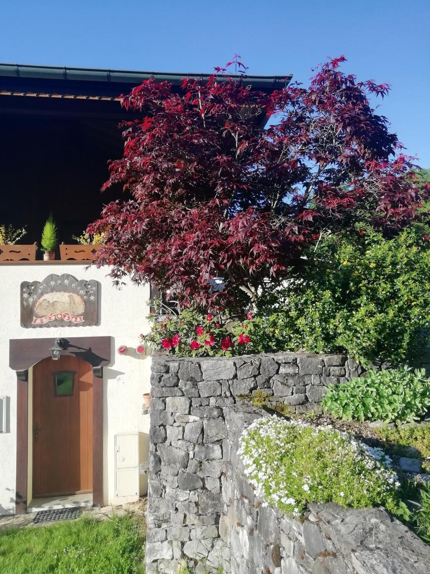Chambres En Chalet Petit Dejeuner Inclus La Cote d'Arbroz エクステリア 写真